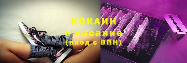 бошки Горняк